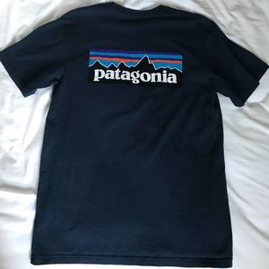 Patagonia P-G Logo Tee